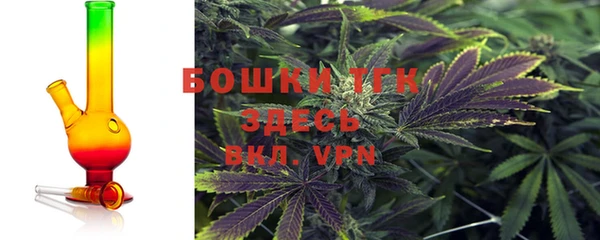 хмурый Ельня