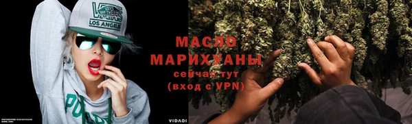 шишки Елизово