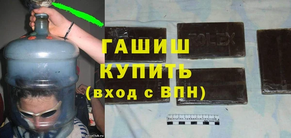 хмурый Ельня