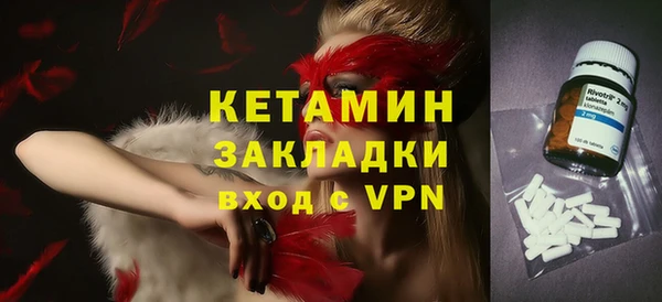 хмурый Ельня