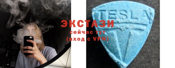 хмурый Ельня