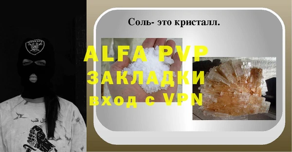 хмурый Ельня