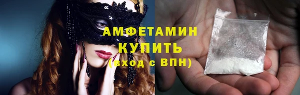 шишки Елизово