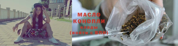 хмурый Ельня