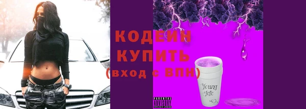 хмурый Ельня