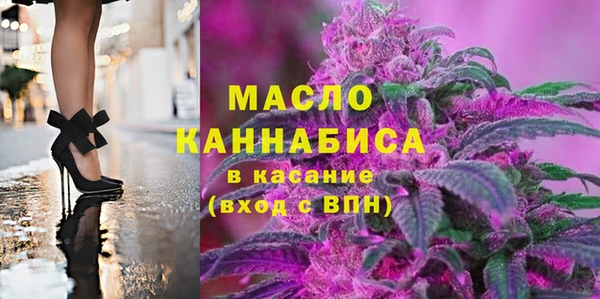 хмурый Ельня