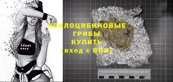 хмурый Ельня