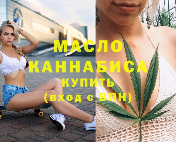 хмурый Ельня