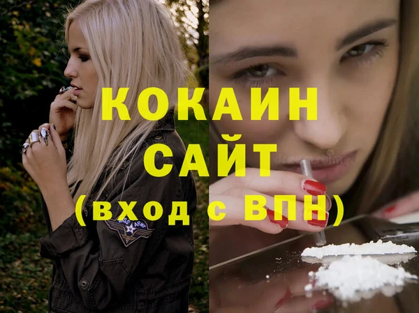 шишки Елизово