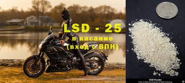 шишки Елизово