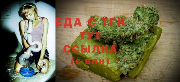 хмурый Ельня