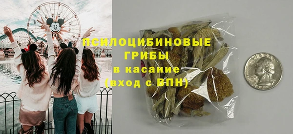 хмурый Ельня