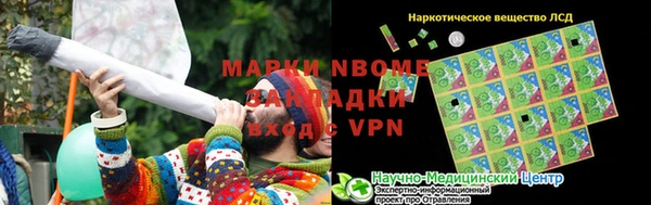 хмурый Ельня