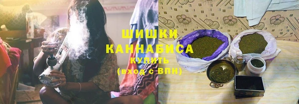 шишки Елизово