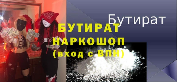хмурый Ельня