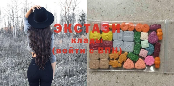 хмурый Ельня