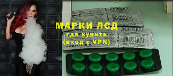 хмурый Ельня