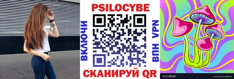 Купить где  Калтан  Галлюциногенные грибы Psilocybe 